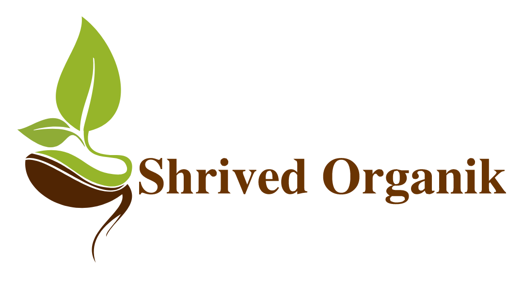 SOYBEAN FLOUR Shrived Organik